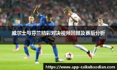 威尔士与芬兰精彩对决视频回顾及赛后分析